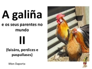 A galiña e os seus parentes polo mundo (II)